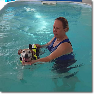 Cherrytree Canine  Hydrotherapy Kent -  Gallery 18